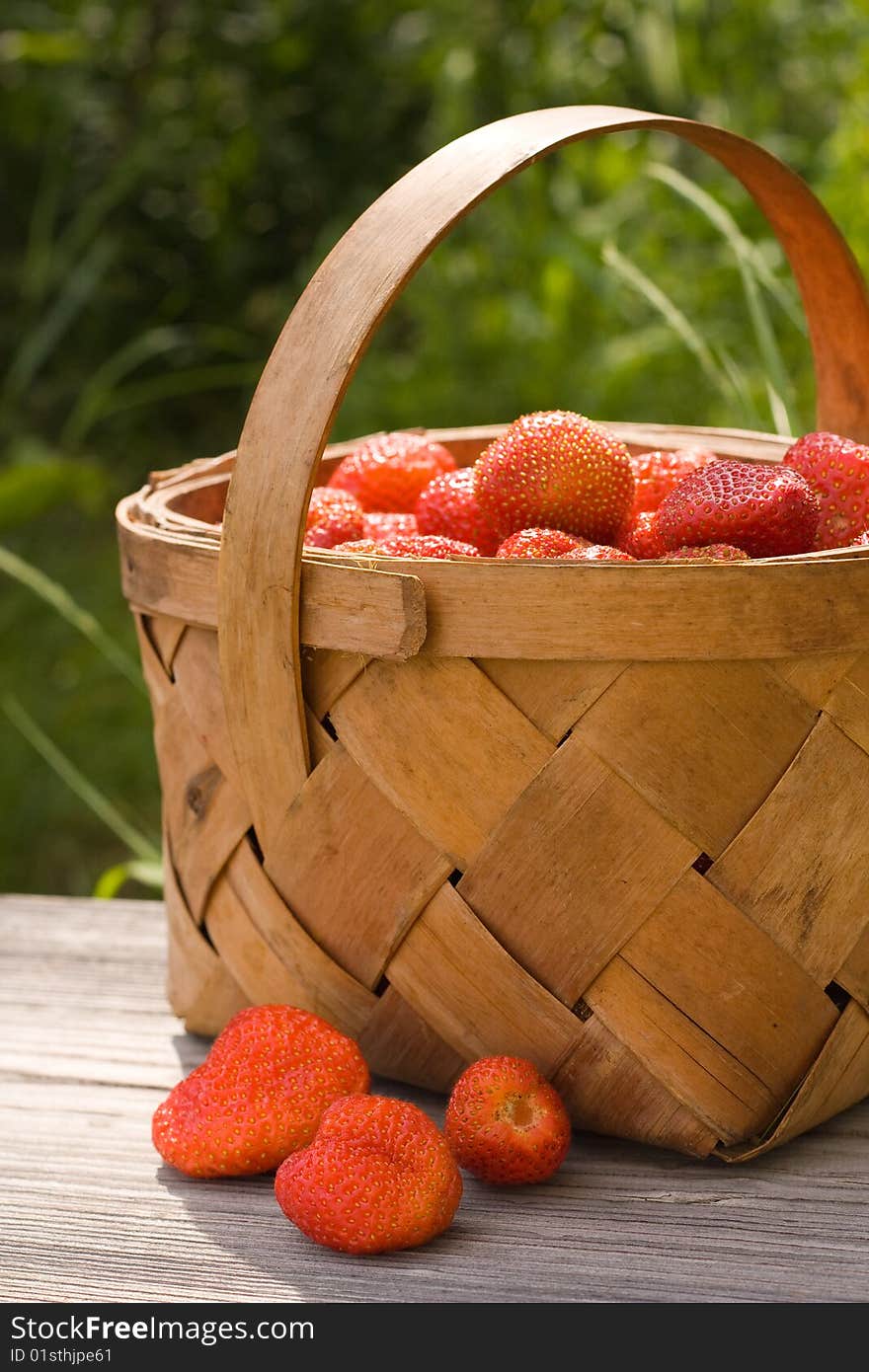 Herb basket strawberries of the berry. Herb basket strawberries of the berry