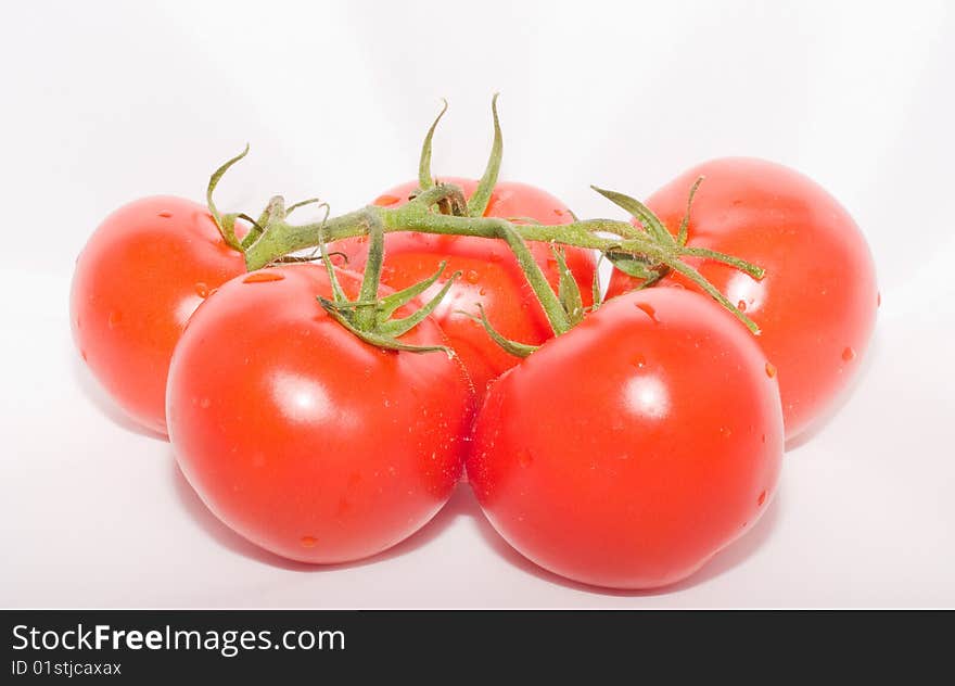 Tomatoes