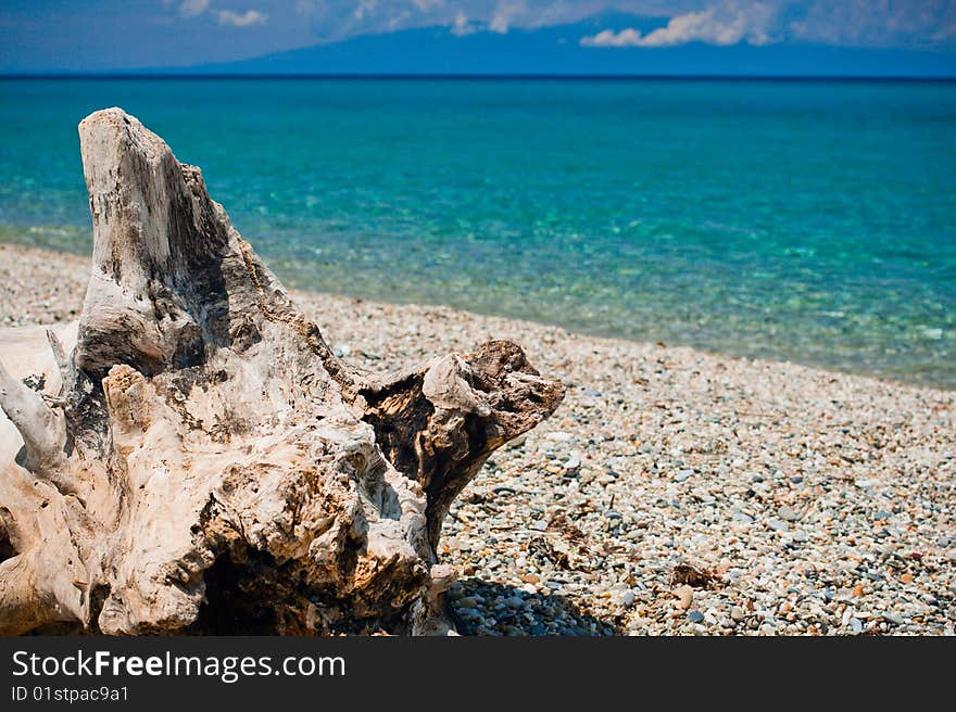 Old stump on pebbles beach. Greece, Kassandra, Chalkidike. Old stump on pebbles beach. Greece, Kassandra, Chalkidike.