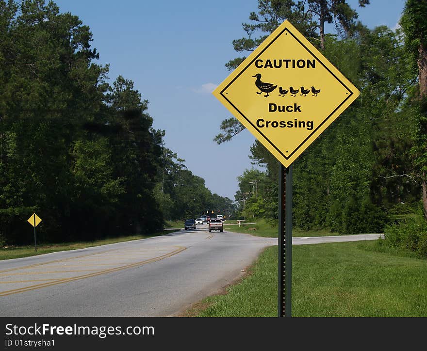 Yellow diamond caution duck crossing sign beside a road.