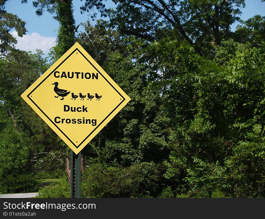 Yellow diamond caution duck crossing sign beside a road.