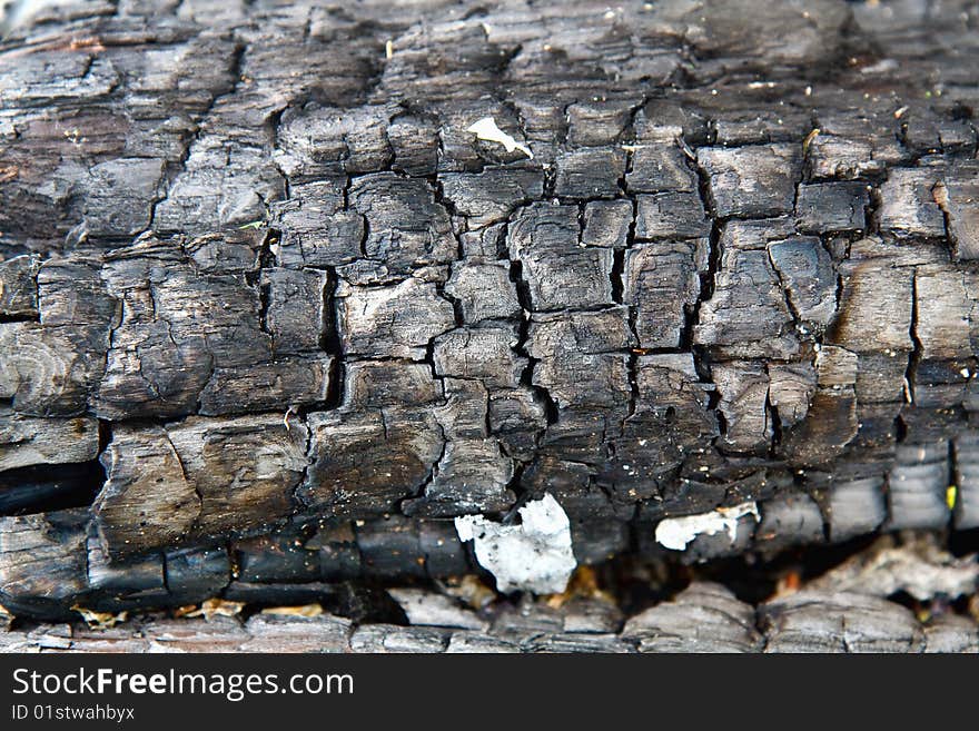 Burnt firewood