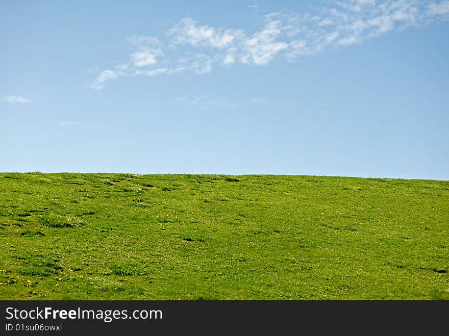 Green grass meets blue summer sky. Green grass meets blue summer sky.