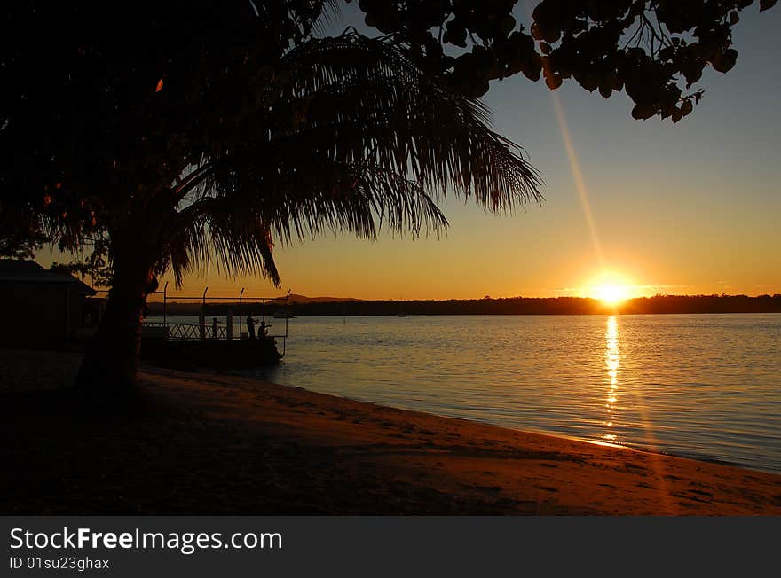 Sun setting over the water with palm tree silhouetted in the foreground. Sun setting over the water with palm tree silhouetted in the foreground