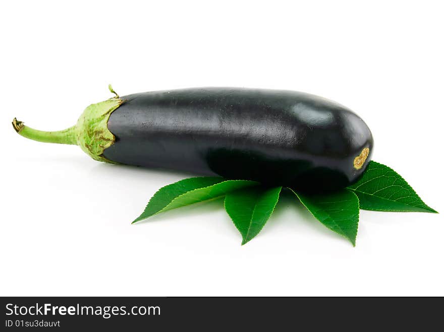 Aubergine Isolated on a White Background. Aubergine Isolated on a White Background