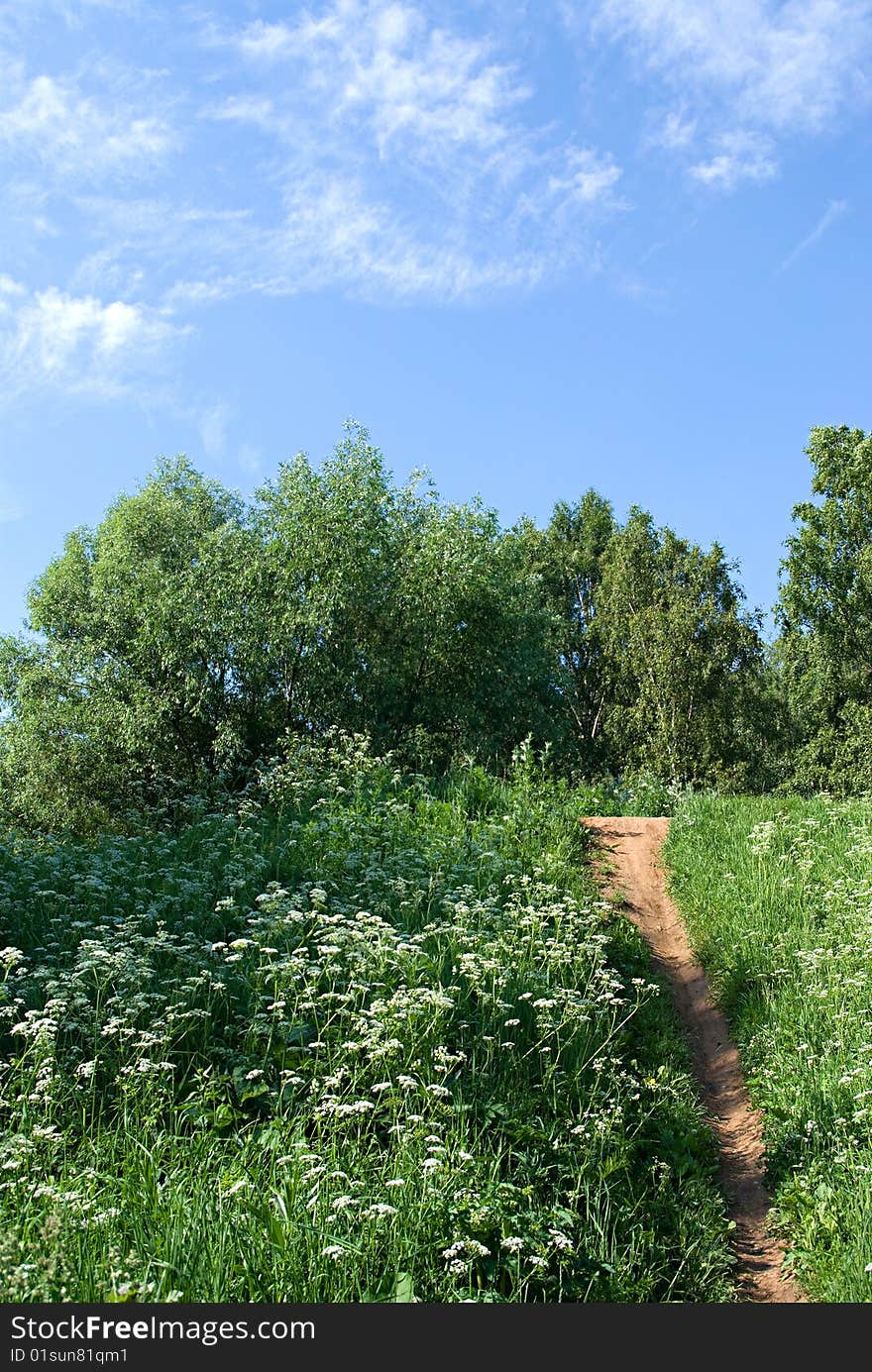 Footpath on green hill in summer day