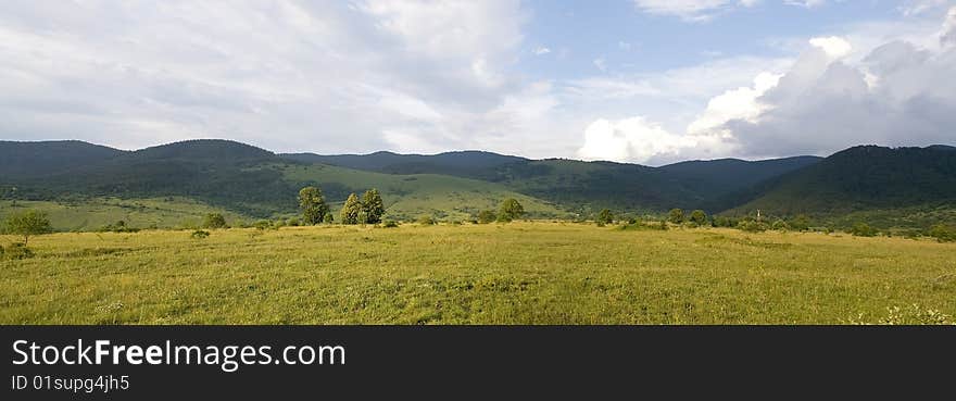 panoramic view of wood under cloudy sky