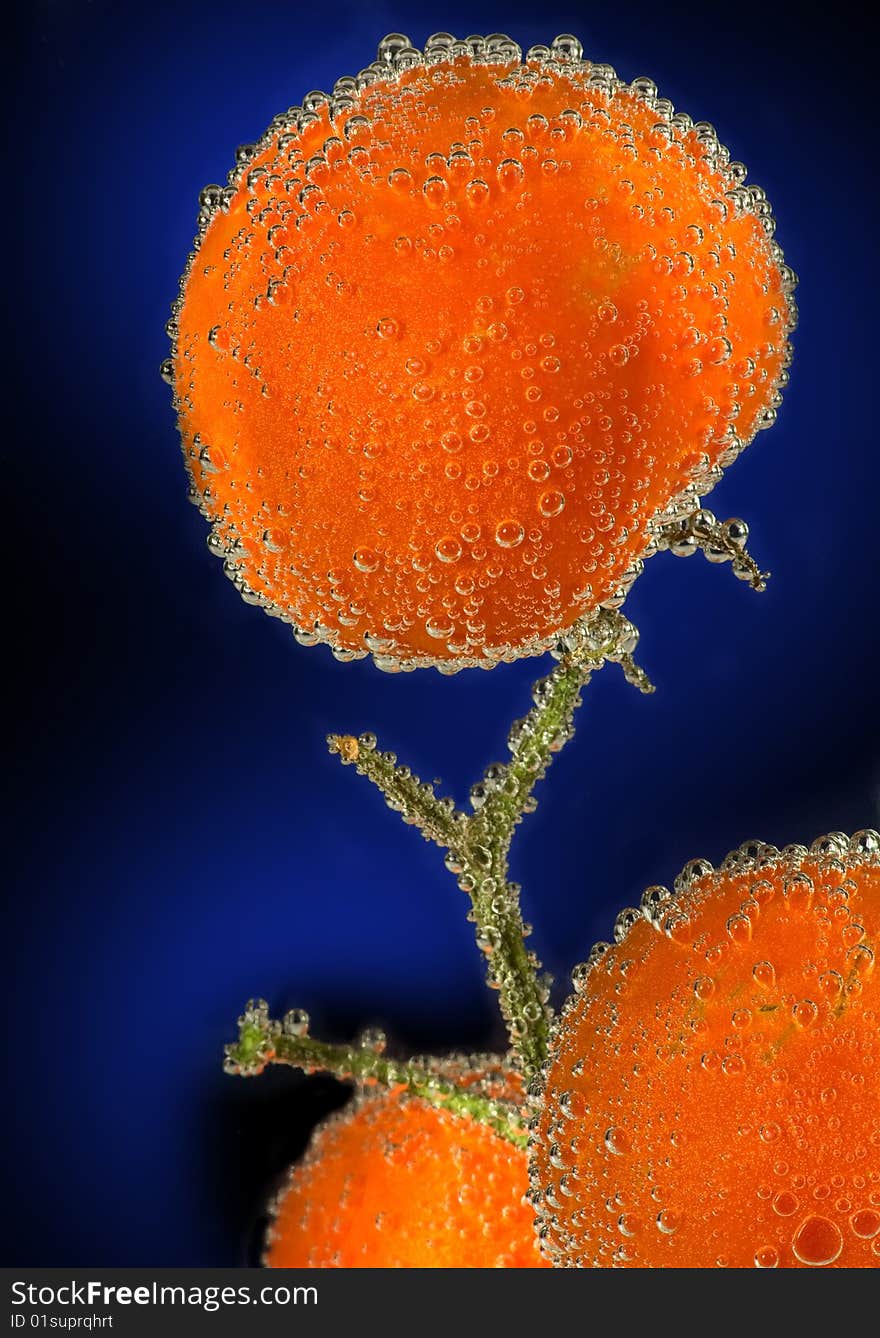 Tomato   With Bubbles On Black Background