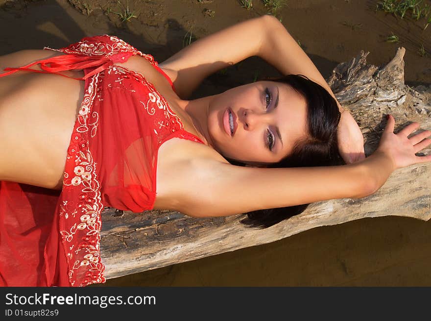 The beautiful young woman relaxing on a tree