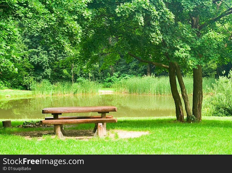 Bench on the bank of a small lake