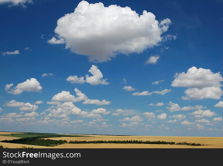 Idyllic summer landscape, large cumuli on dark blue sky and yellow wheat fields