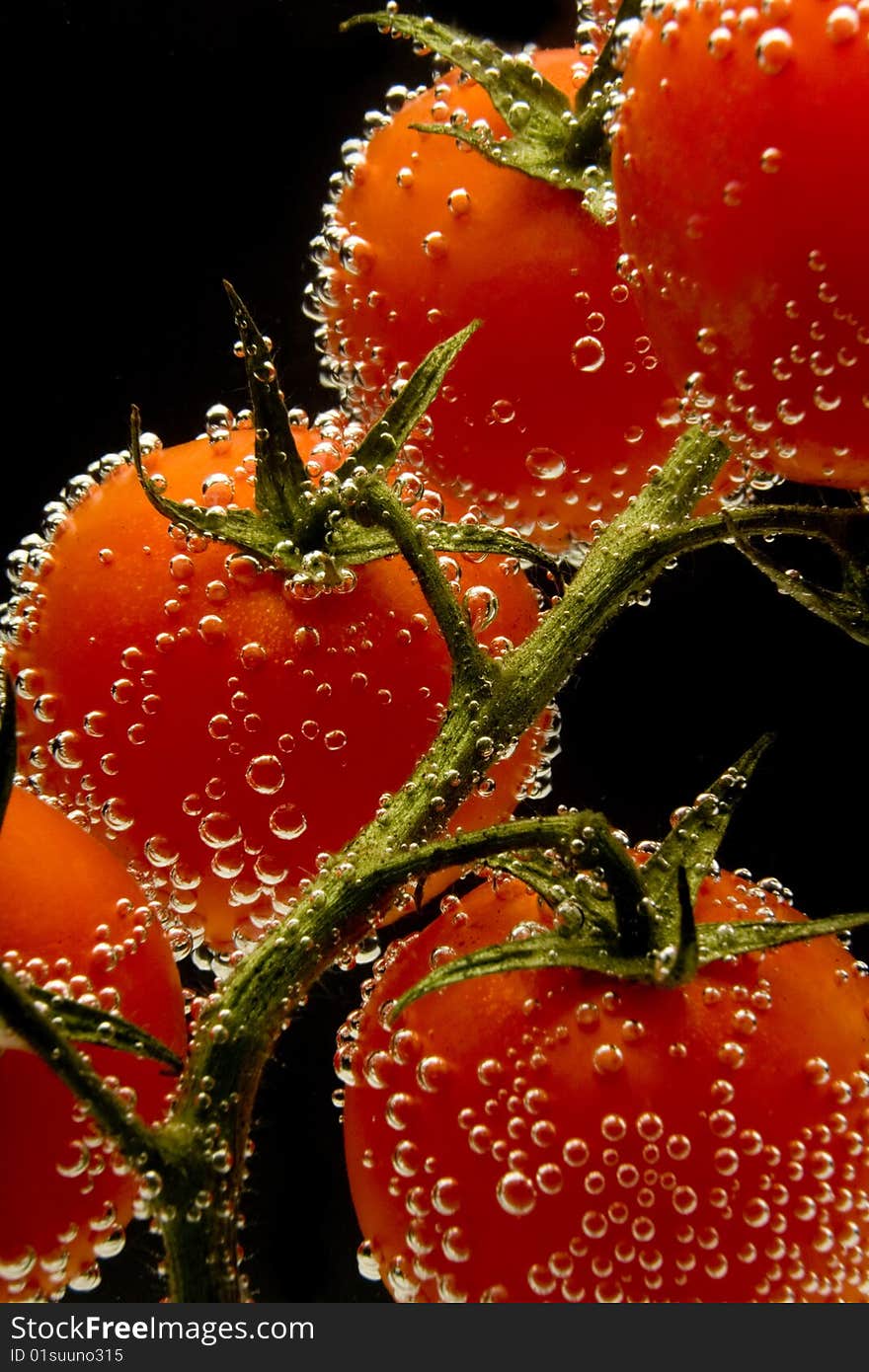 Tomato   with bubbles on black background