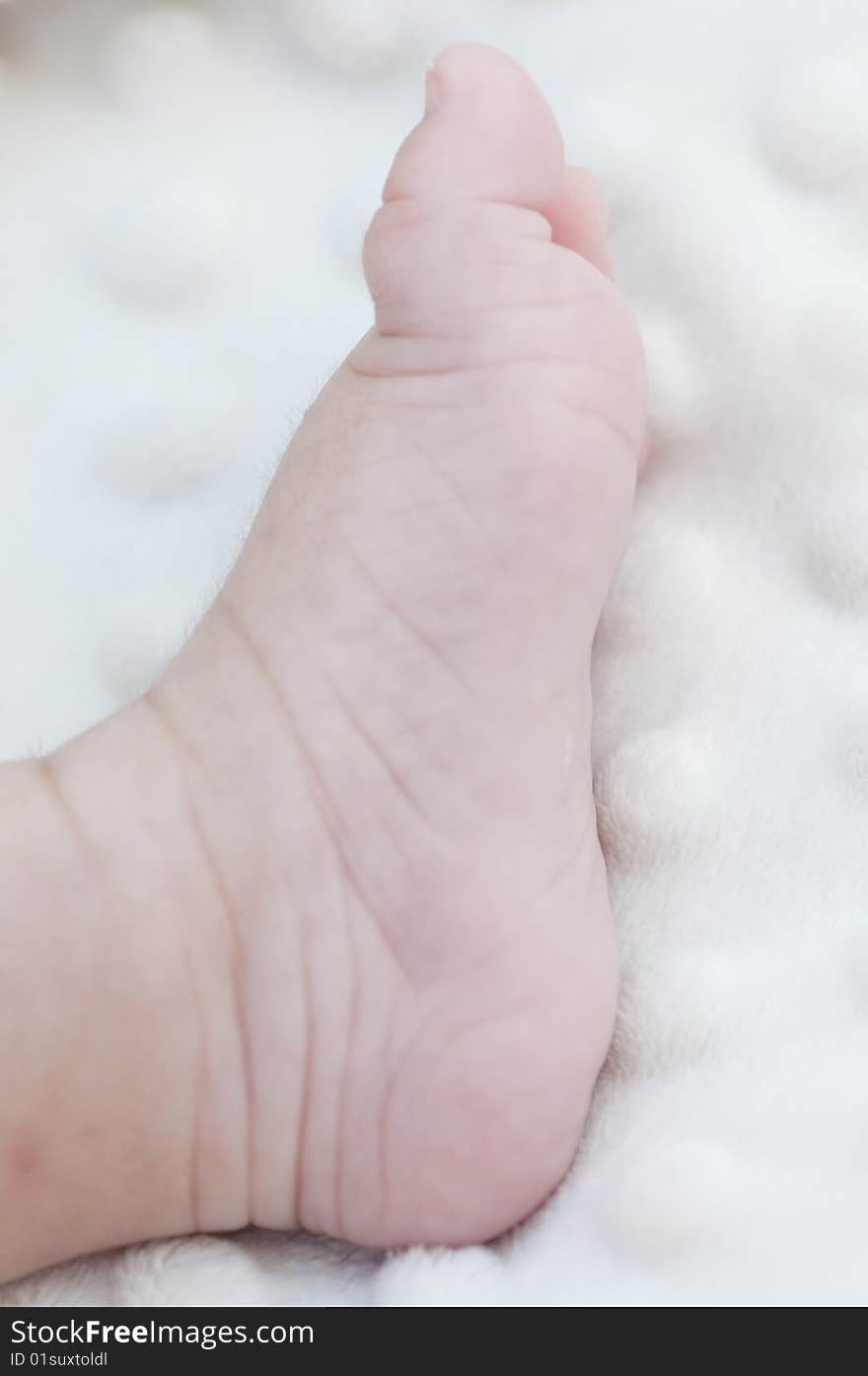 Picture of a new born foot.