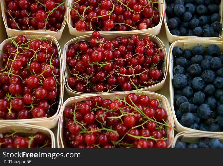 Red currants and blueberries in containers. Red currants and blueberries in containers