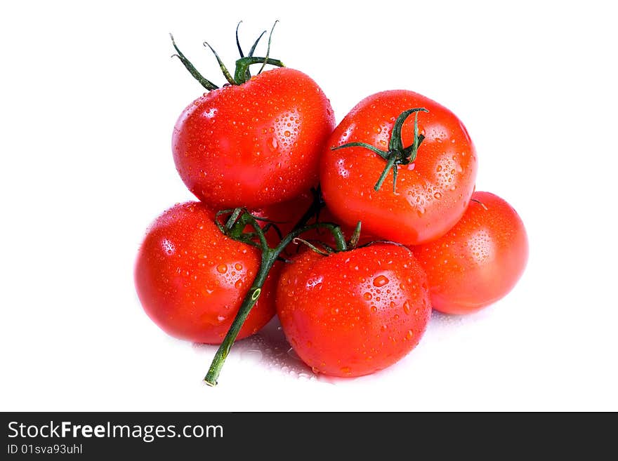 Branch of tomato isolated over white background