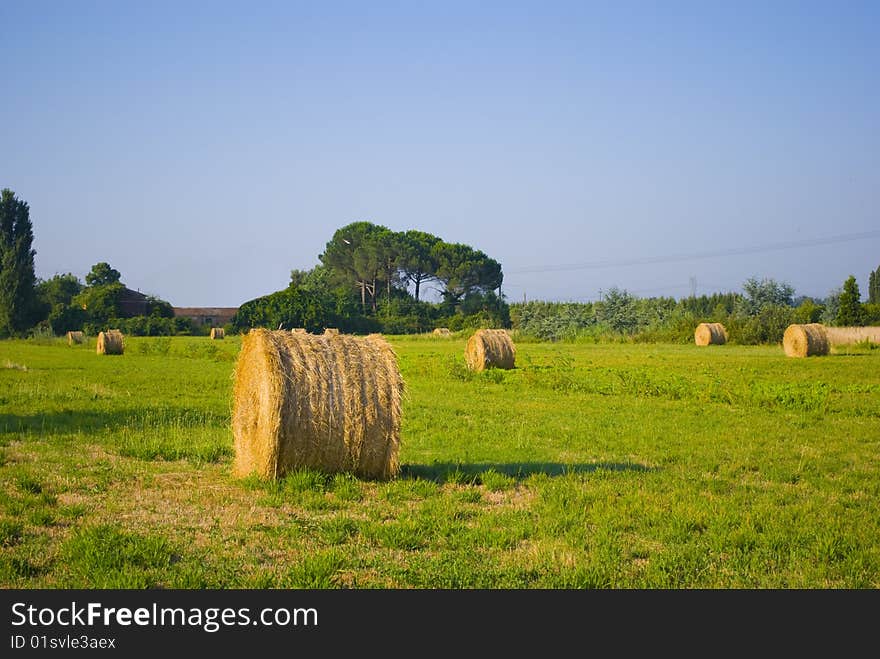 Large roll of straw, on a green lawn in the open countryside. Large roll of straw, on a green lawn in the open countryside