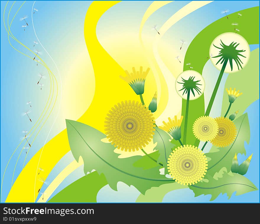 Bright dandelion card vector