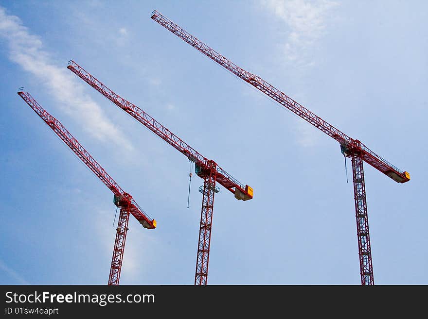 Three Cranes In The Sky