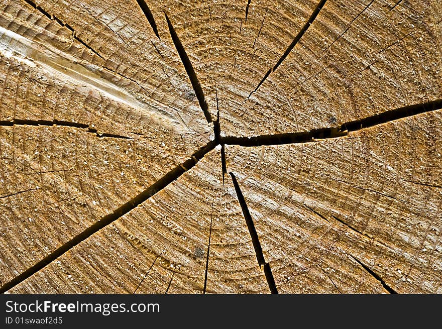 Pine tree trunk, building material.