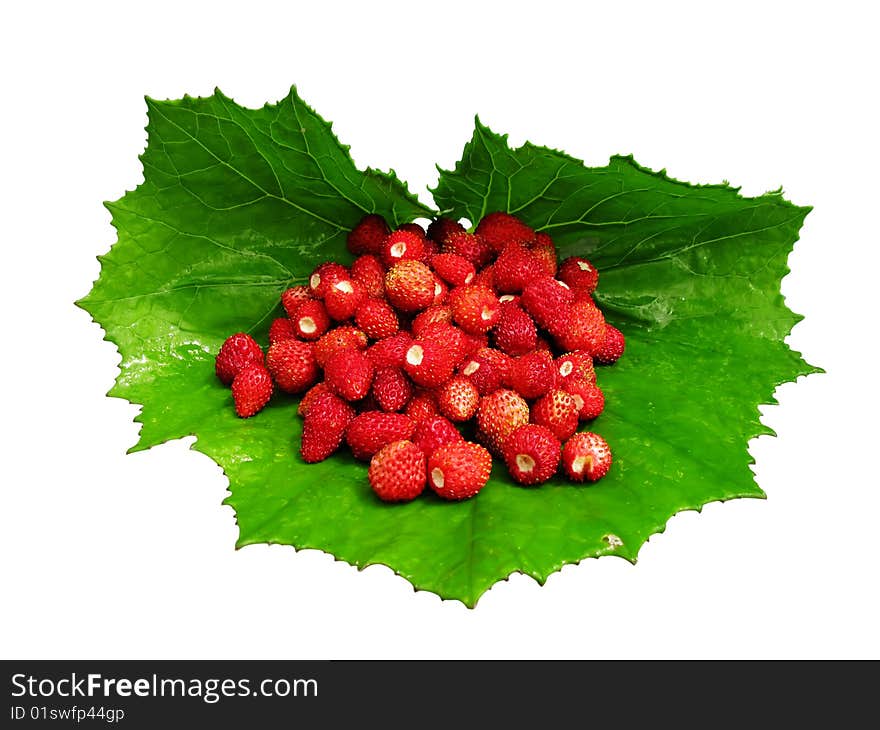 Wild strawberry on a leaf