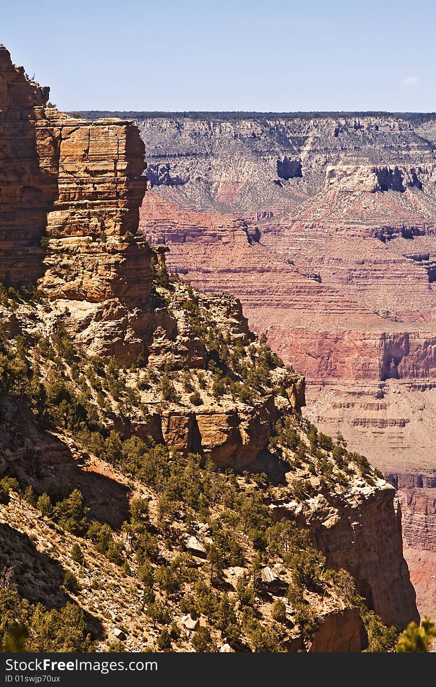 Grand Canyon View