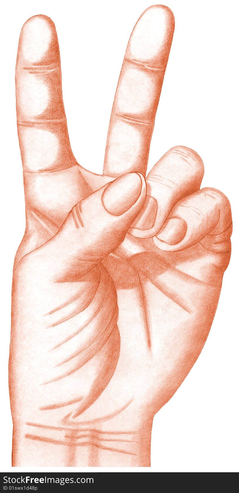 The image of the hand showing V-sign, executed by a pencil. The image of the hand showing V-sign, executed by a pencil.