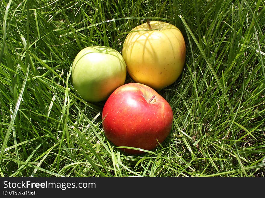 Apples