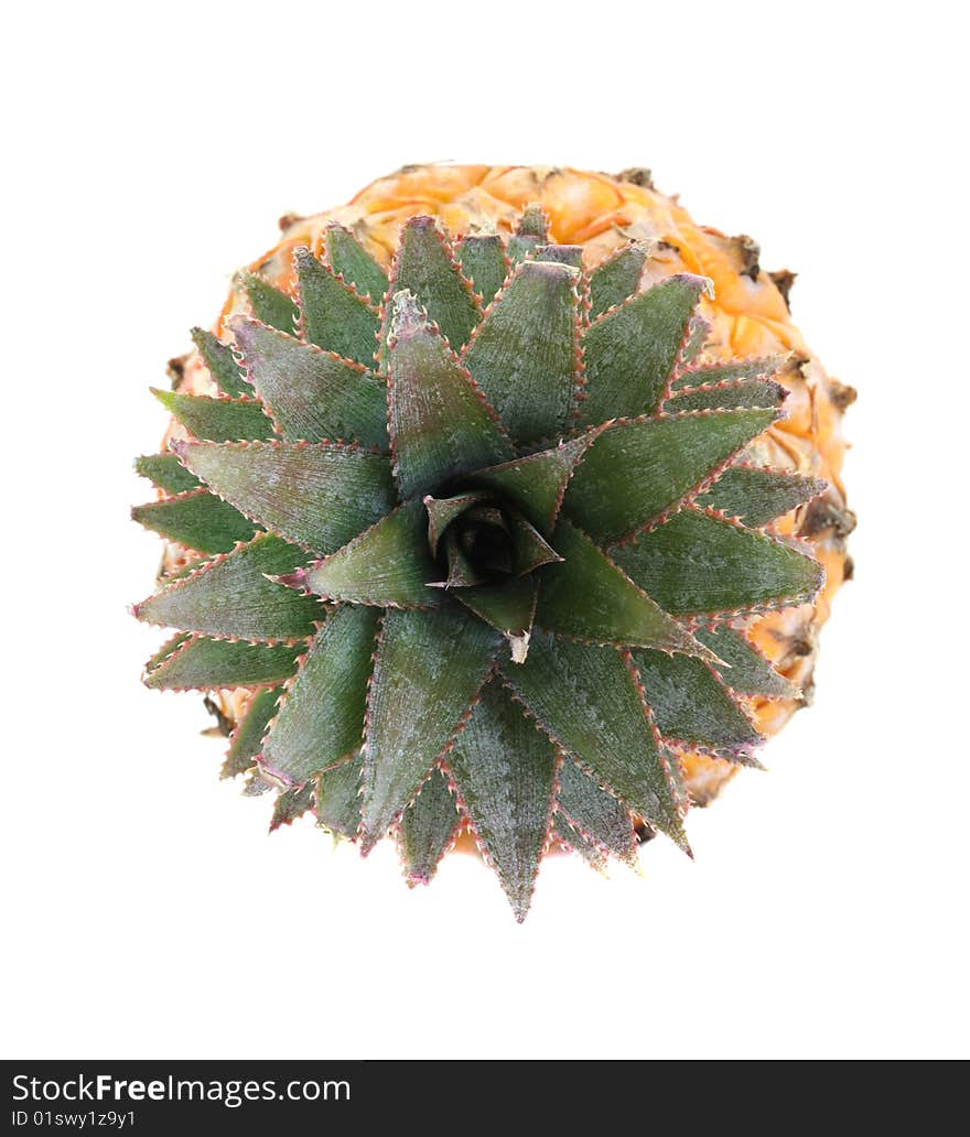 Small round pineapple on a white background, is isolated.