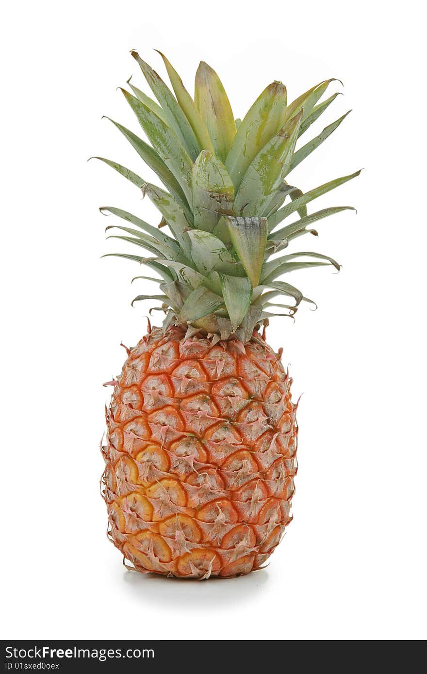 Fruit : Pineapple