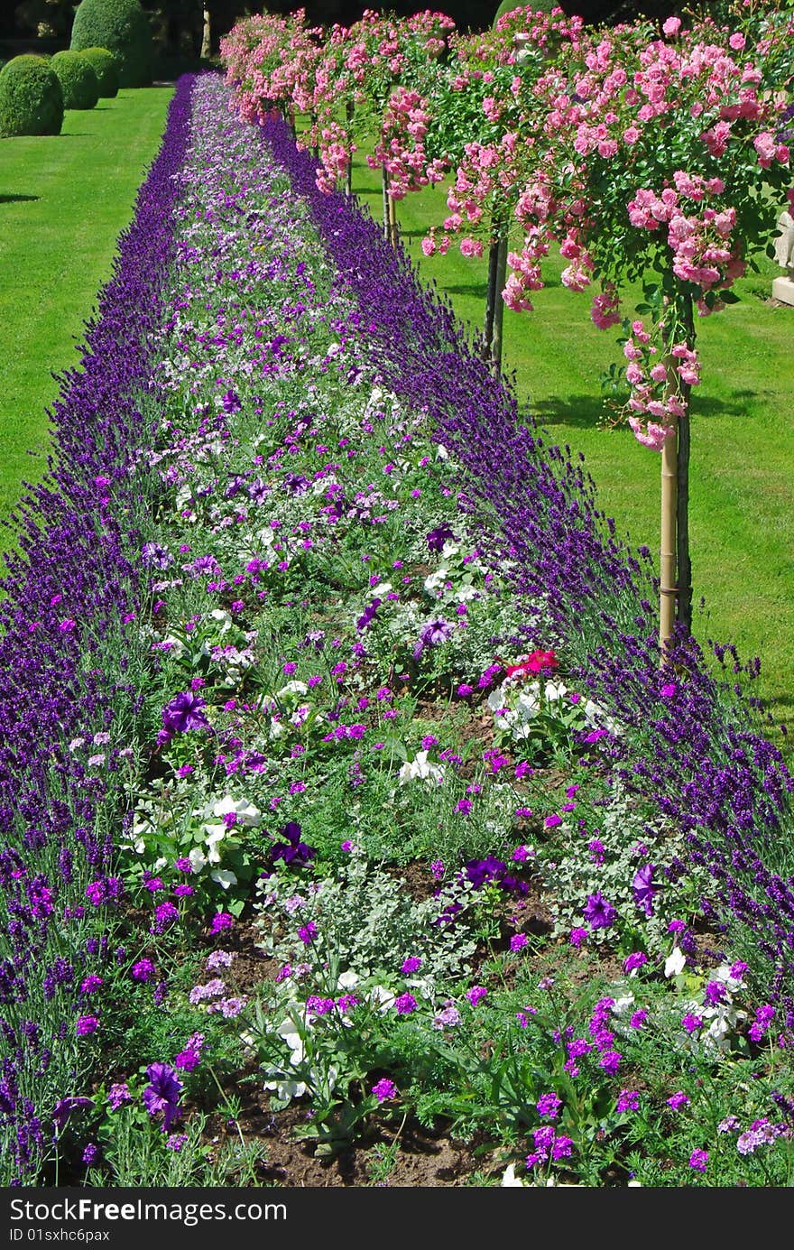 Park In The Shenonso Castle, France