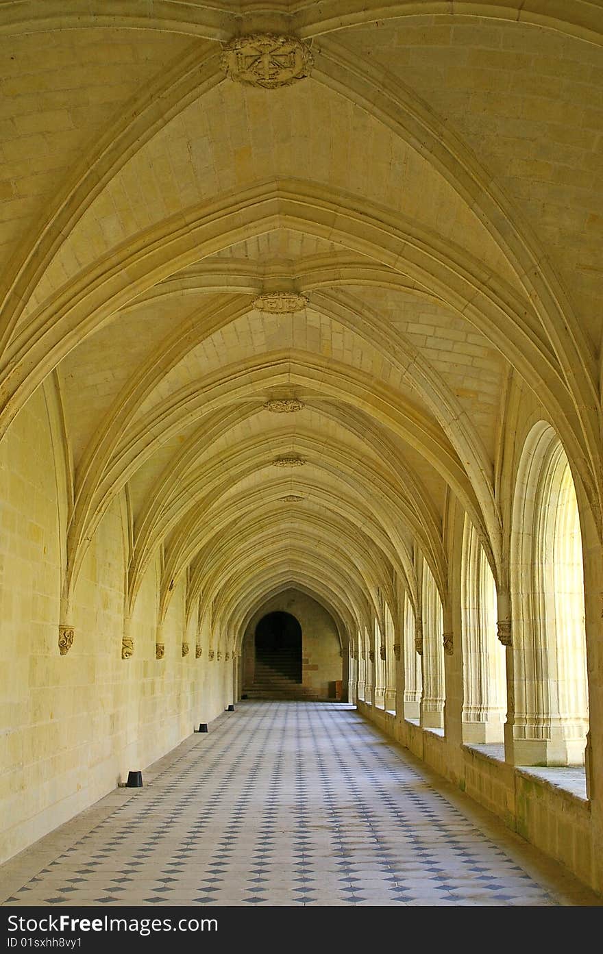 Columned Hall Of A Abbey De Fontevro