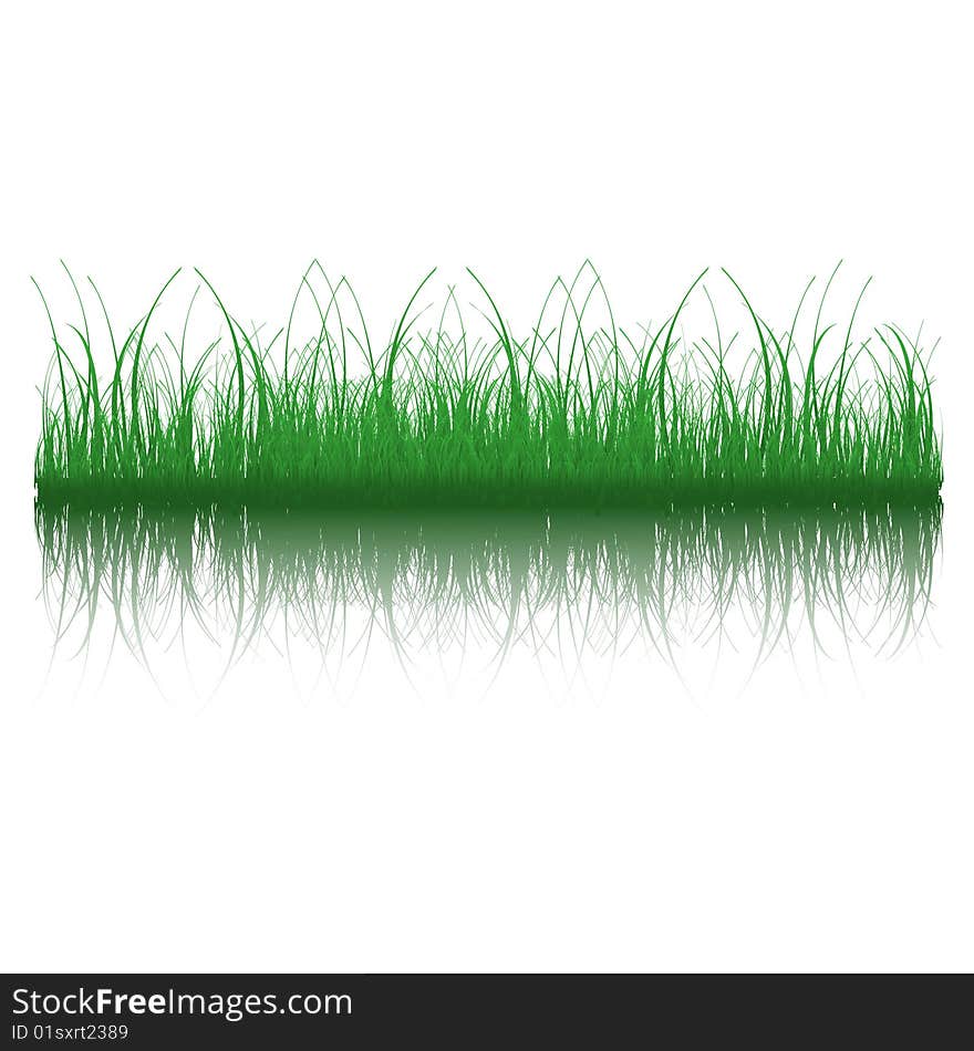 Illustration of grass with reflection. Available in jpeg and eps8 format.