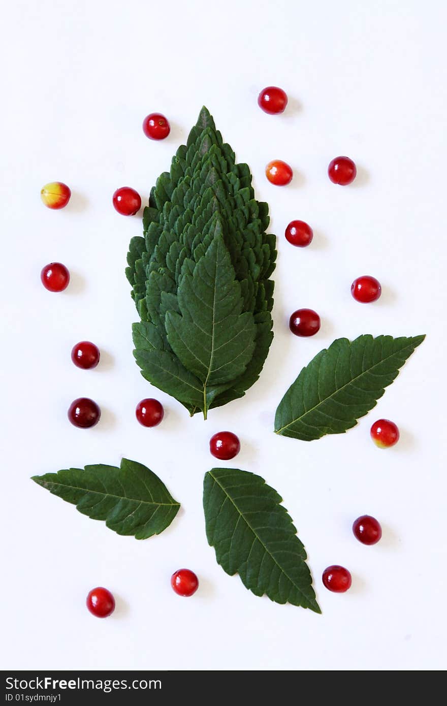 Leaves and fruits arrangement