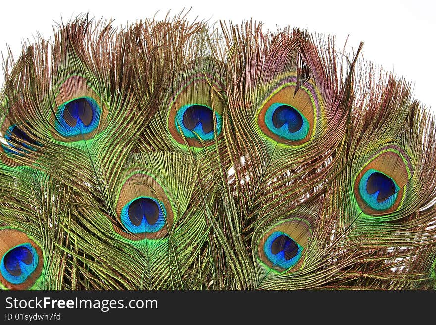 Old fan of feathers of a peacock. Old fan of feathers of a peacock.