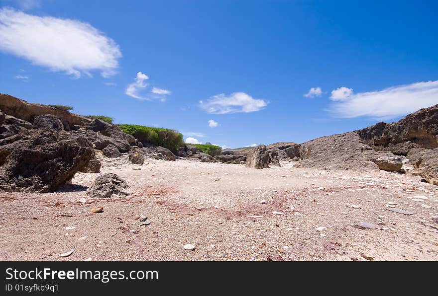 Rocky beach