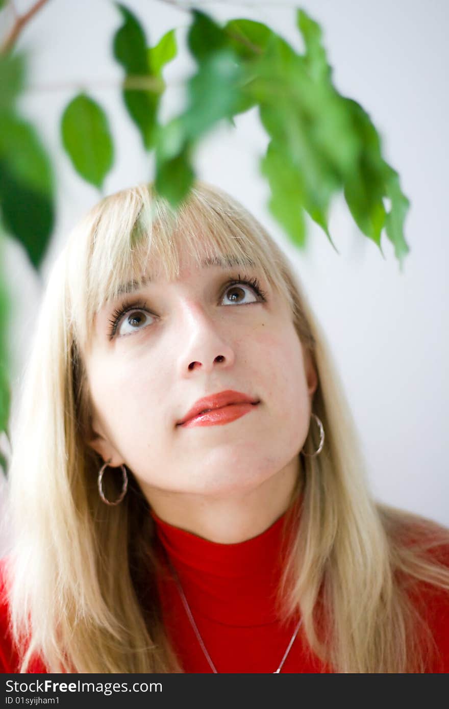 An attractive girl's portrait, her face seen through some green leaves. An attractive girl's portrait, her face seen through some green leaves