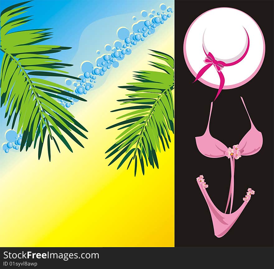 Bathing suit and hat. Vector illustration