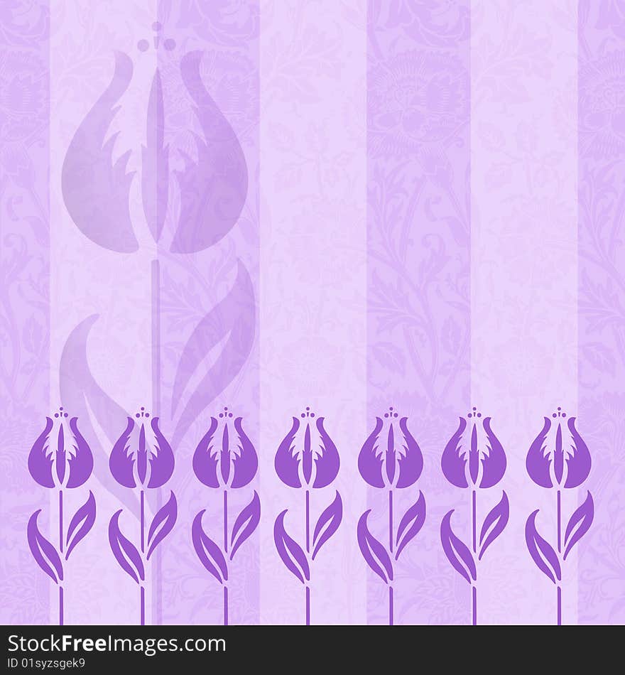 Puple Striped Haze Tulips