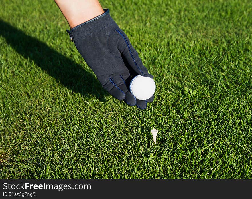 Golfer with the glove hand to put the ball on the tee peg. Golfer with the glove hand to put the ball on the tee peg