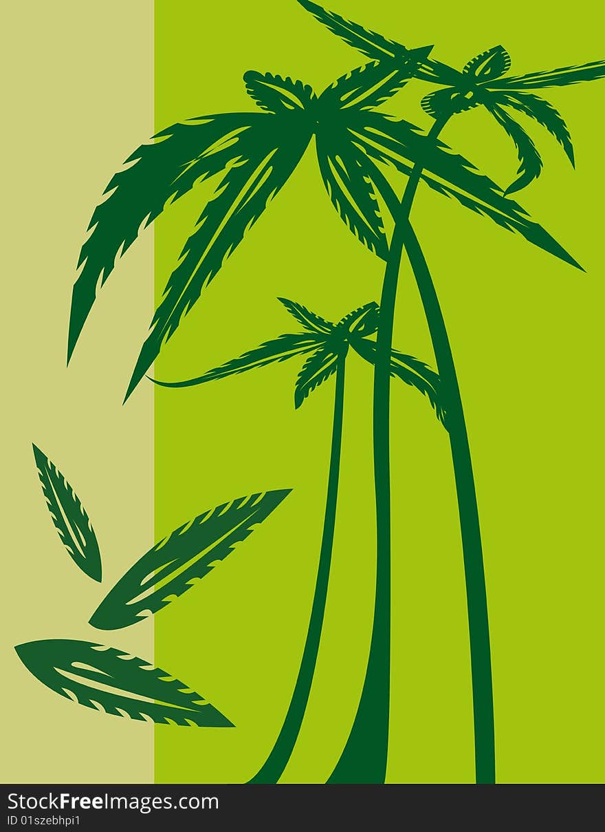 Objects illustration with palm trees on green background