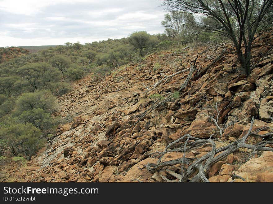 Morning in George Gill Range, Australia