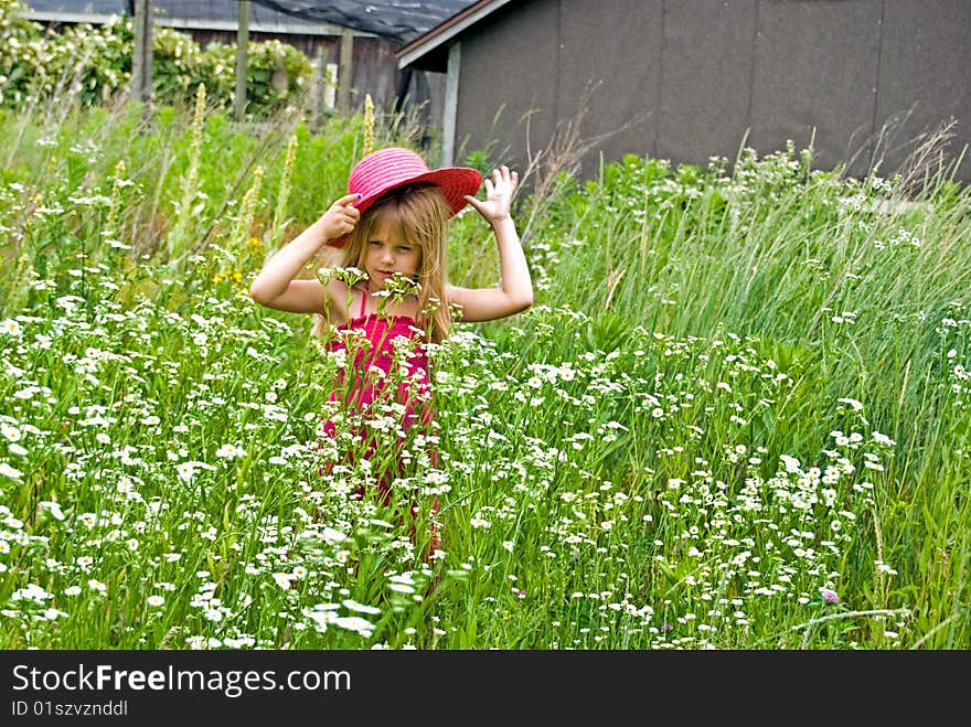 Little girl with hat in tall wild daisies. Little girl with hat in tall wild daisies.