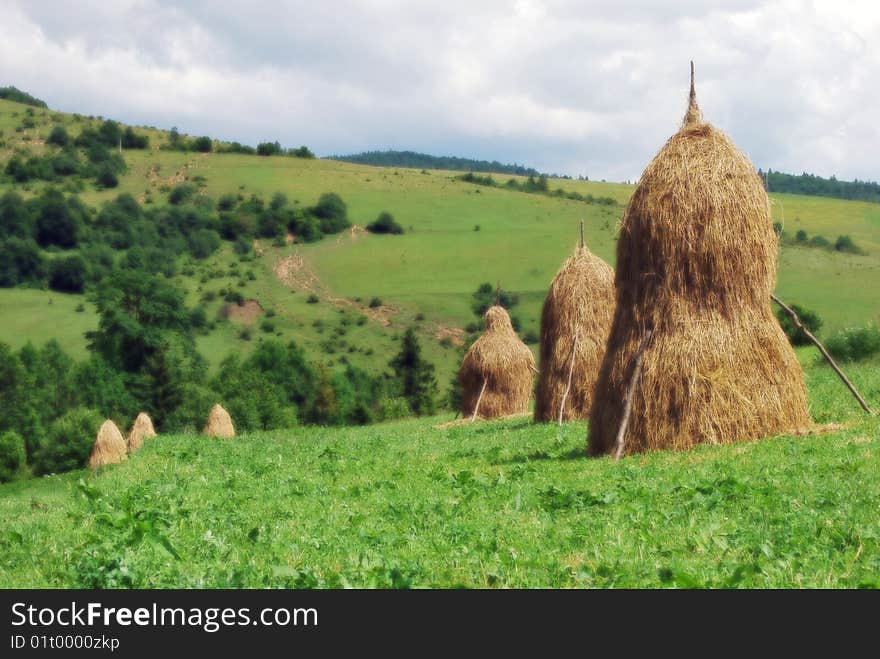 The fields are in mountains