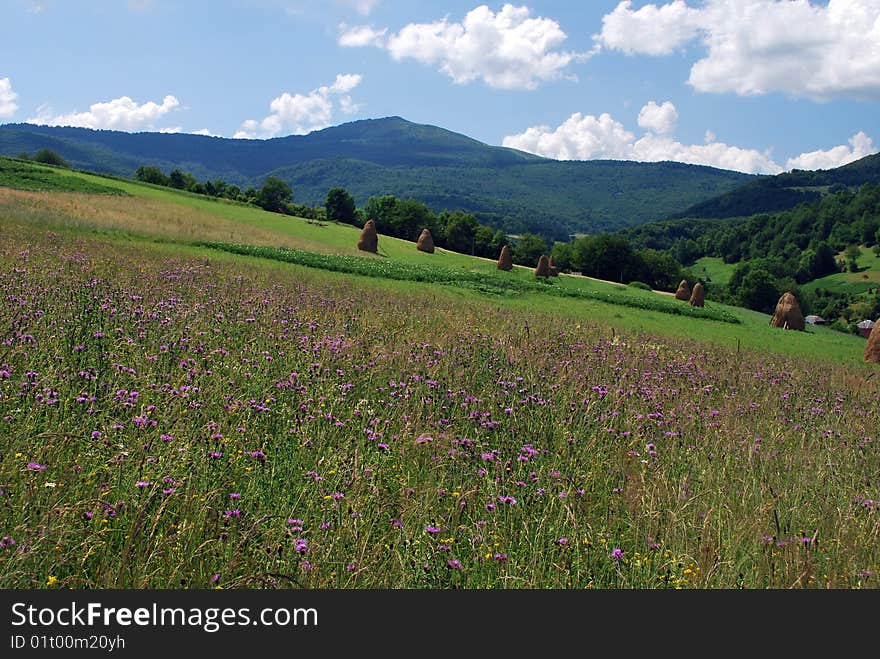 The Fields Are In Mountains