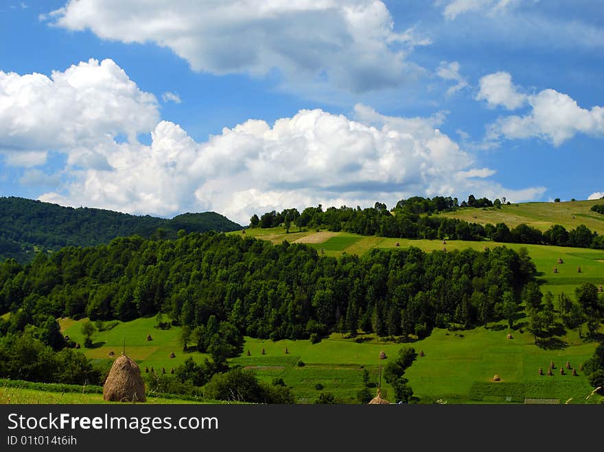 The Fields Are In Mountains