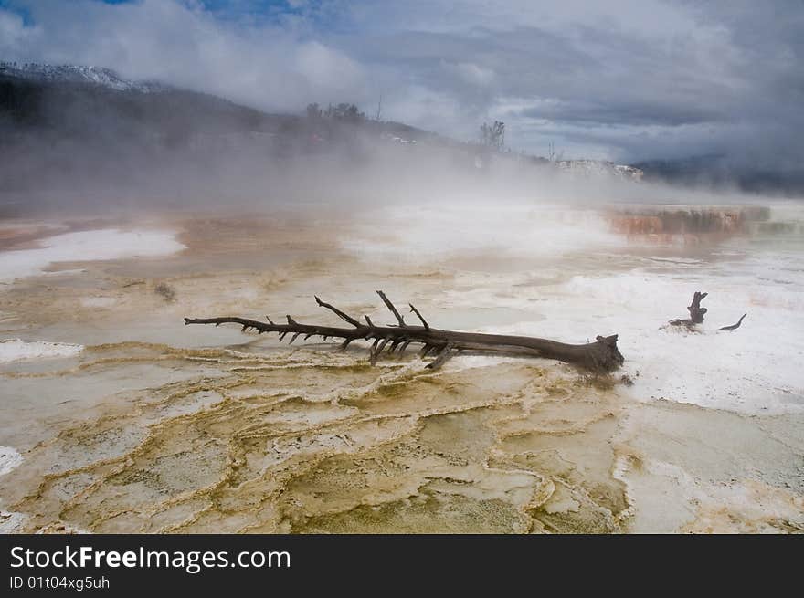 Mammoth Hot Springs, Yellowstone