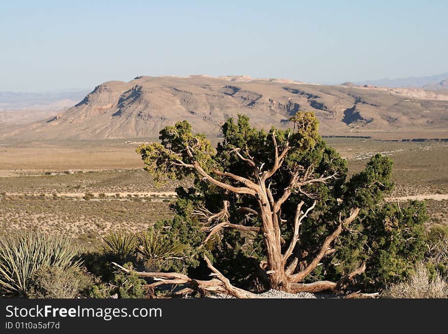 Red Rock Canyon, Nevada