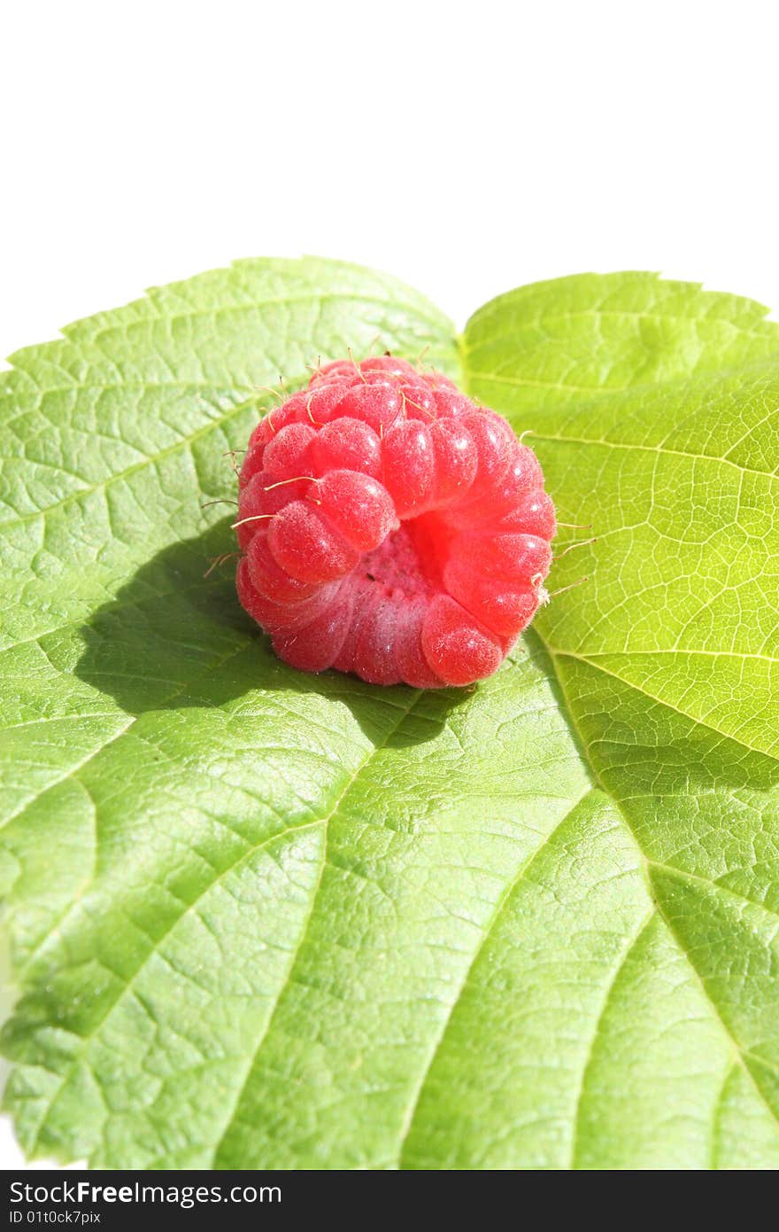 Raspberry