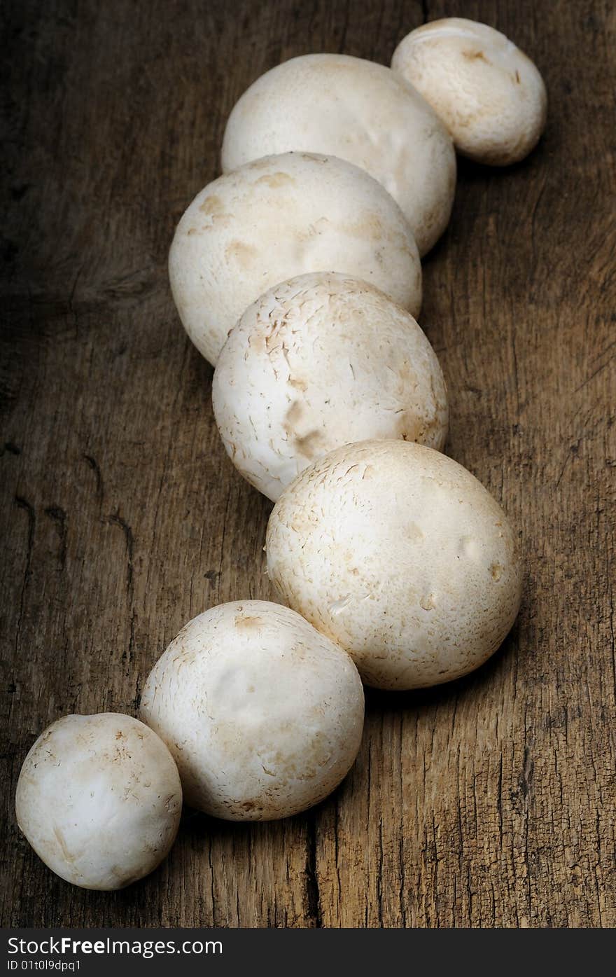 Close up with white mushrooms isolated on wood. Close up with white mushrooms isolated on wood