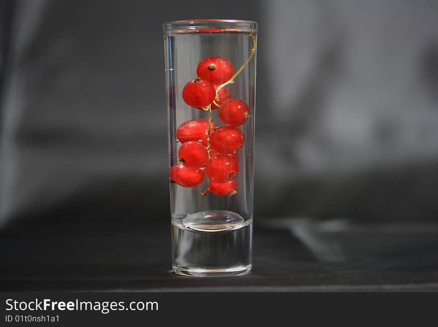 A cup of vodka with red currant. A cup of vodka with red currant